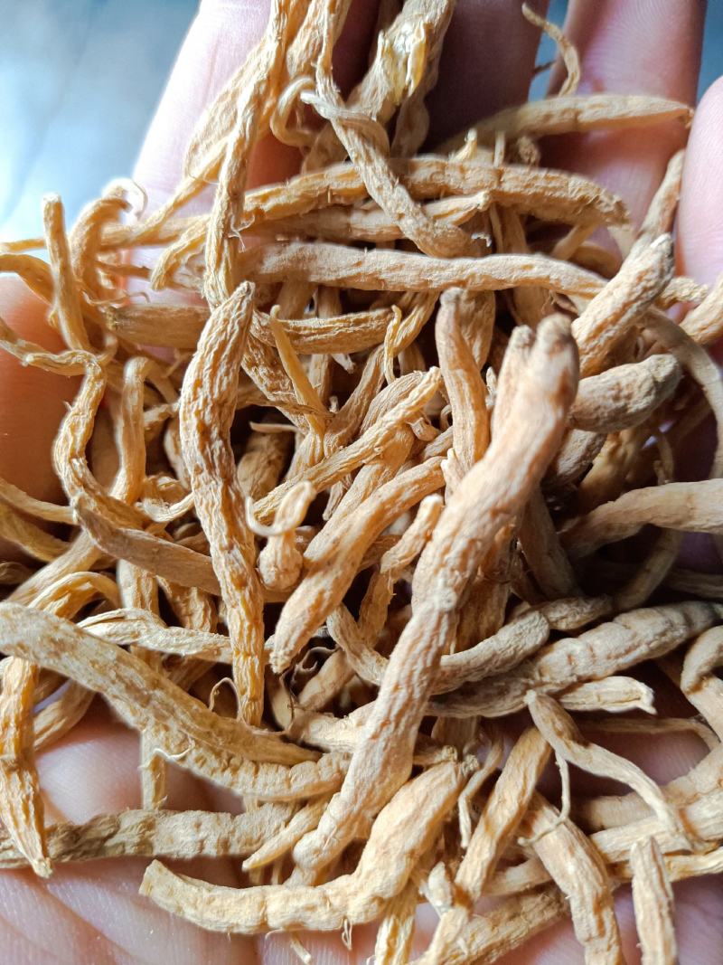 产地直供大统太子参，正品新货无硫，价格便宜，各种规格。