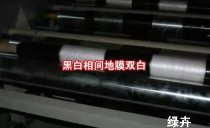 地膜黑地膜白地膜除草保温蔬菜草莓果树苗木用于除草专用膜