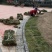 马尼拉草皮，一手货源，绿化工程（小区，公园，高速公路）