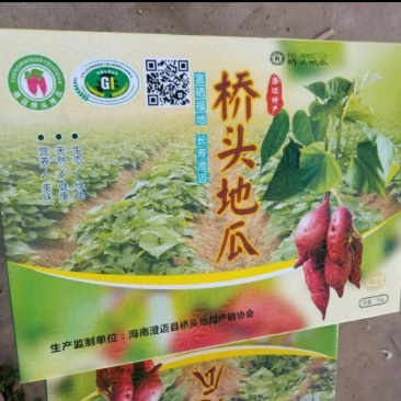 海南澄迈桥头高糸十四富硒板栗薯种植基地，量大从优