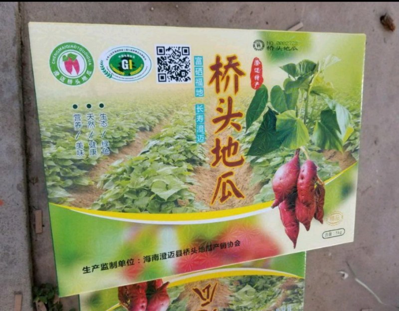 海南澄迈桥头高糸十四富硒板栗薯种植基地，量大从优