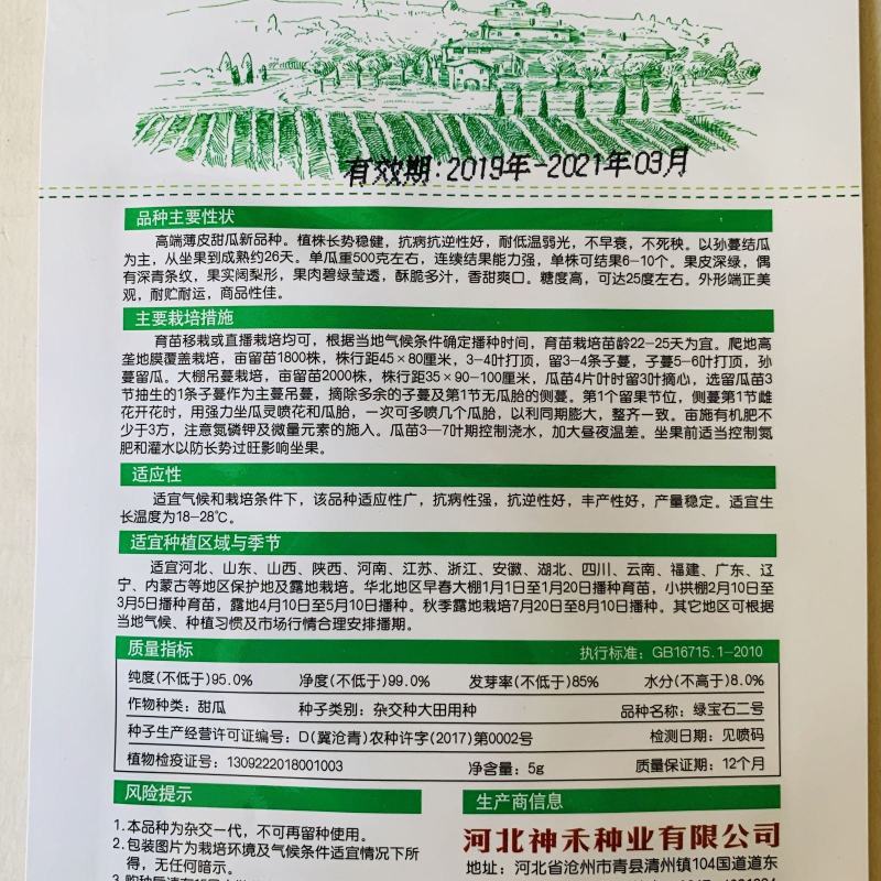 绿宝甜瓜种子绿美王子高糖早熟新品种甜瓜种子