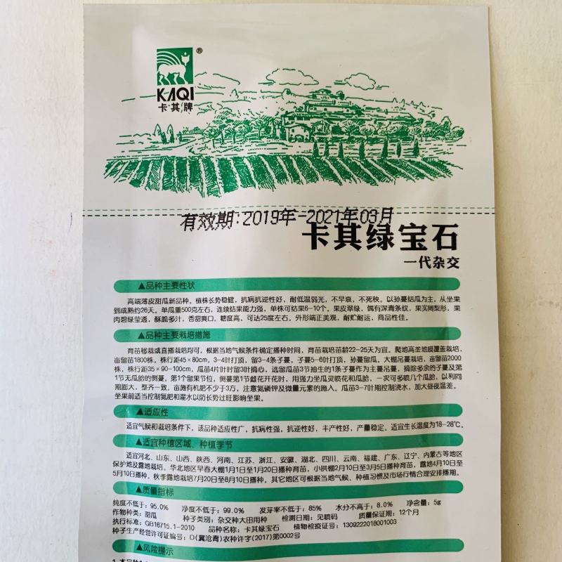 绿宝甜瓜种子绿美王子高糖早熟新品种甜瓜种子