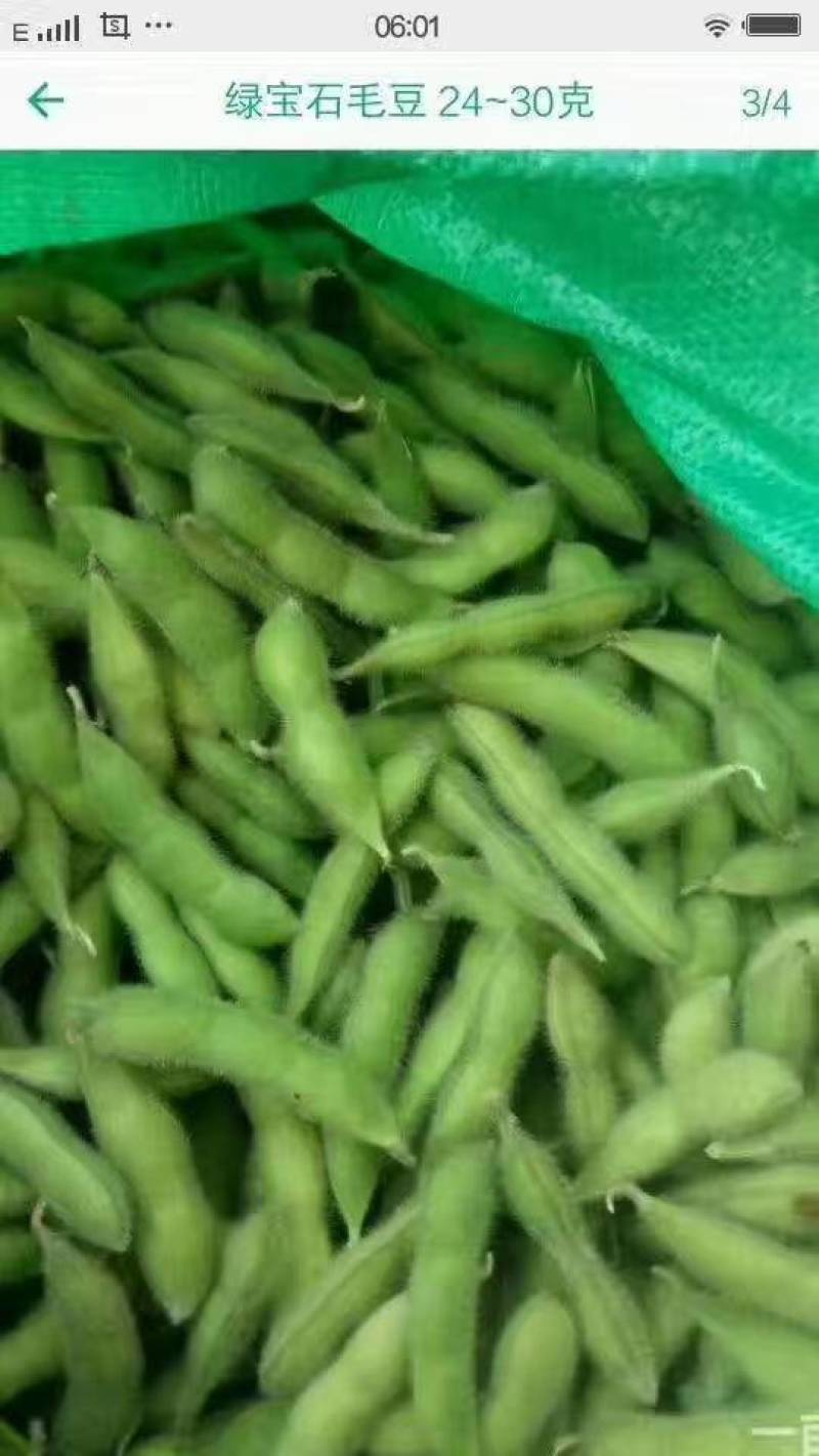 翠绿宝毛豆-基地直供-保证质量-货源充足