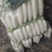 湖北水嫩白萝卜万亩基地，货源充足，一手货源大量供应