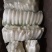 湖北水嫩白萝卜万亩基地，货源充足，一手货源大量供应