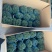 雾松蓬莱松雪松球型雾凇观叶植物，基地直发