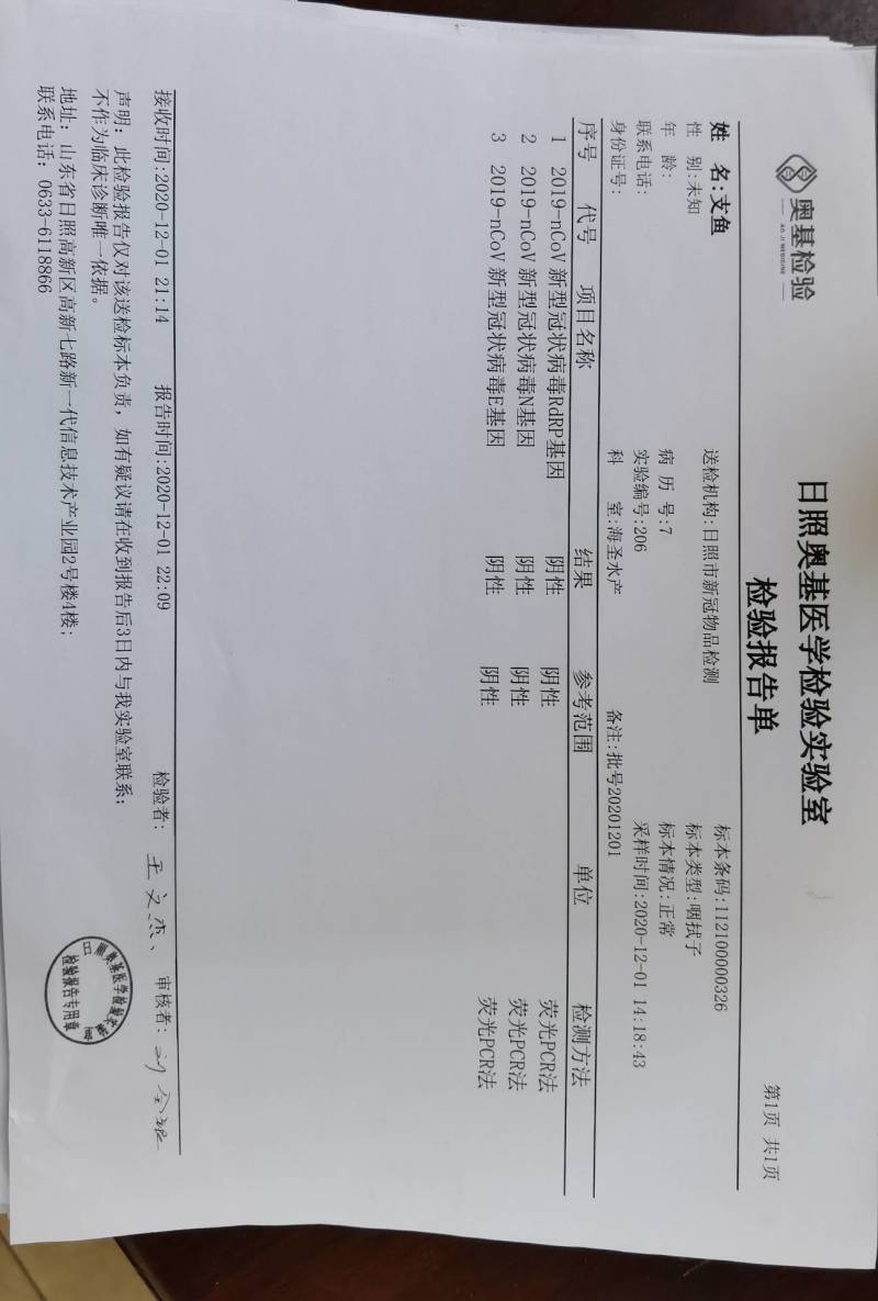 精品梭鱼鯔鱼，山东冷库直发，品质保障，放心购买