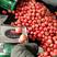 推荐山东费县硬粉西红柿，果型好硬度好，品质保证，代发全国