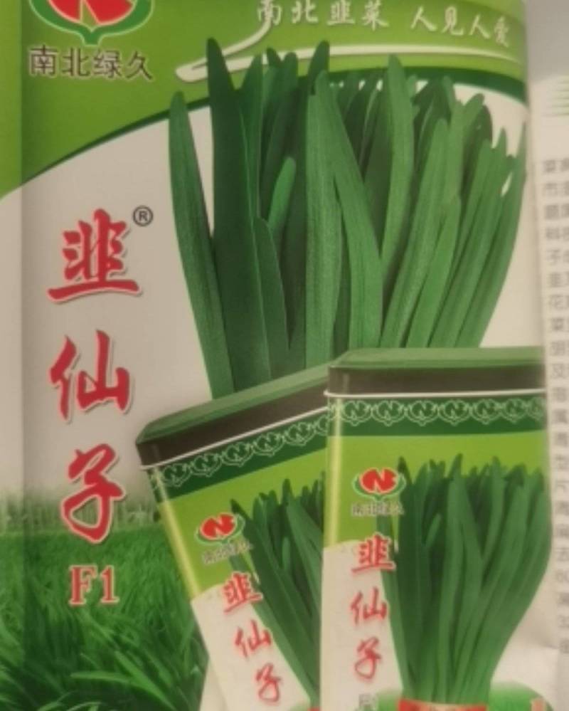 韭仙子韭菜种子，全国批发，一条龙服务，韭菜种批发