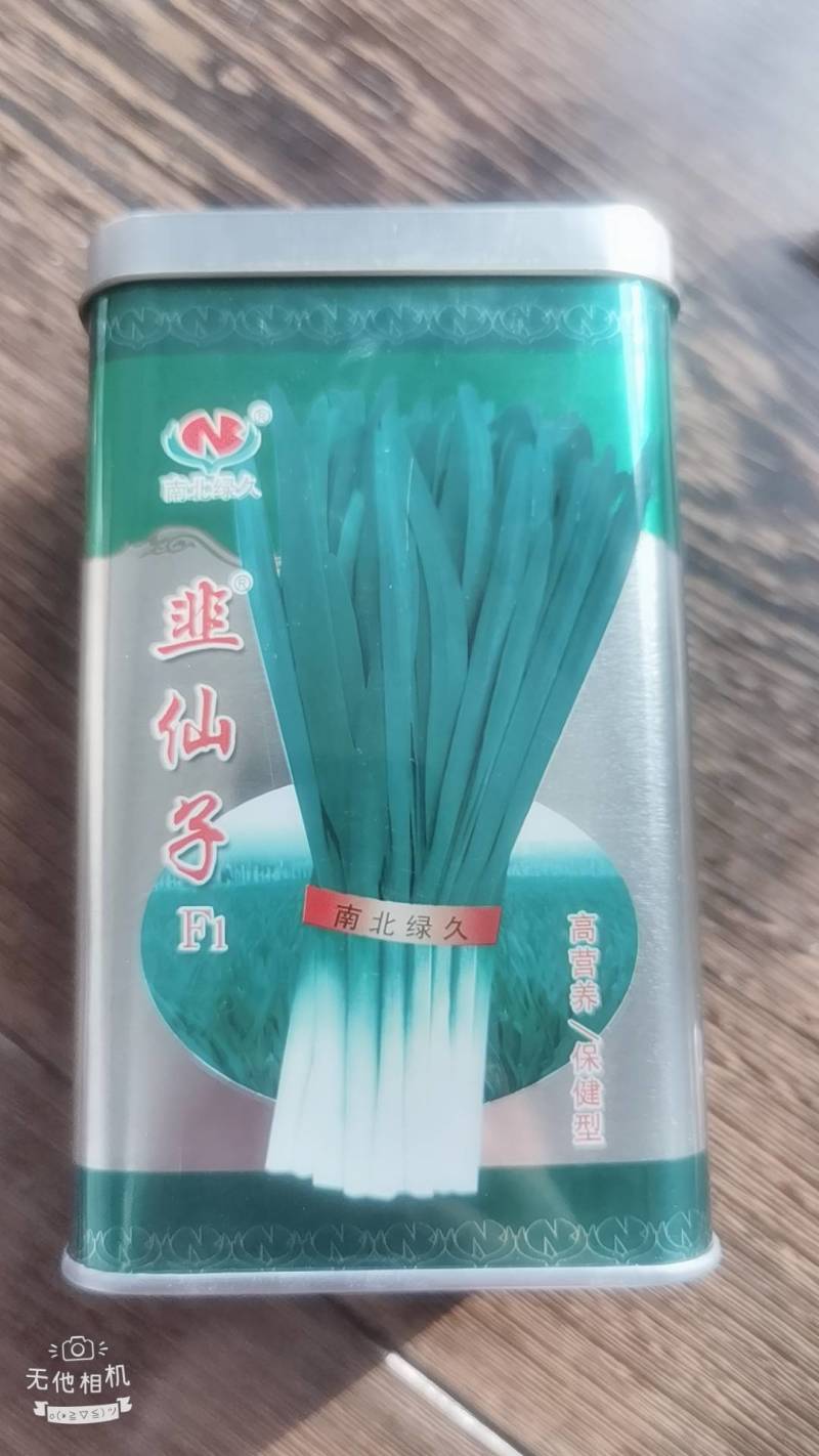 韭仙子韭菜种子，全国批发，一条龙服务，韭菜种批发