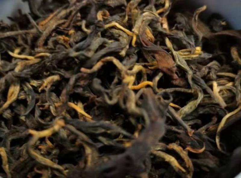 南糯山拔玛古树晒红茶