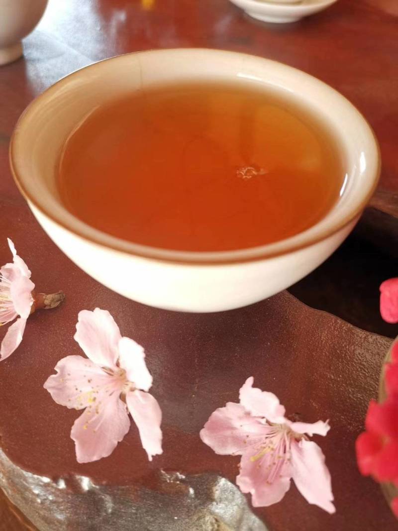南糯山拔玛古树晒红茶