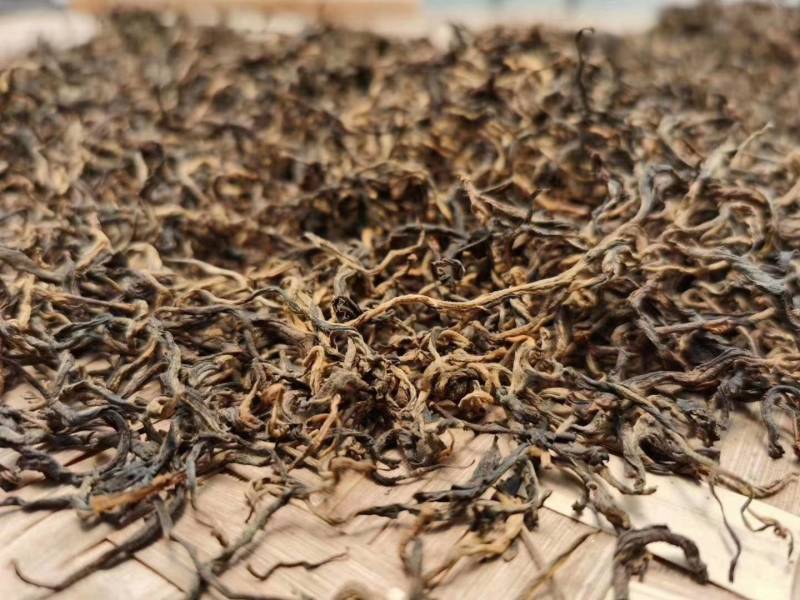 南糯山拔玛古树晒红茶