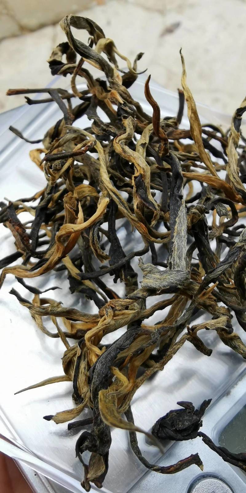 南糯山拔玛古树晒红茶