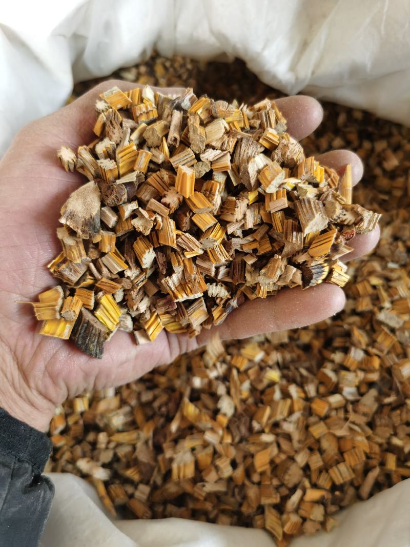 石斛药用草石斛黄草石斛水草石斛石斛供应