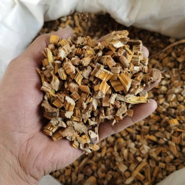 石斛药用草石斛黄草石斛水草石斛石斛供应