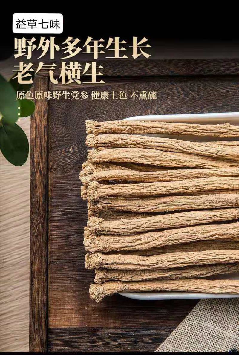 甘肃岷县原产地无硫精品党参大条全个