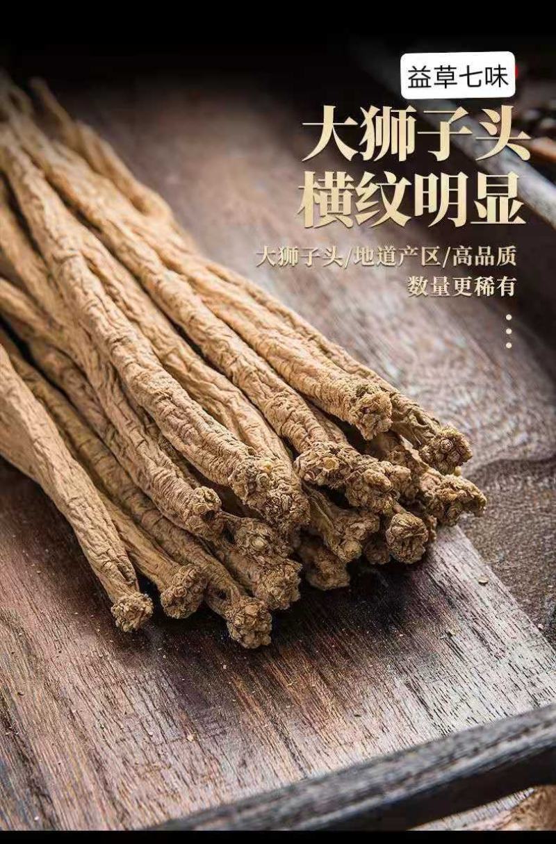 甘肃岷县原产地无硫精品党参大条全个
