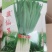 韭仙子韭菜种子，全国批发，一条龙服务，韭菜种批发