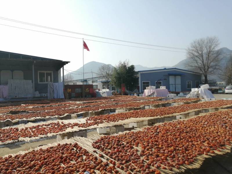大量供应出口级青州精品红饼，霜饼，对接各大市场、平台电商