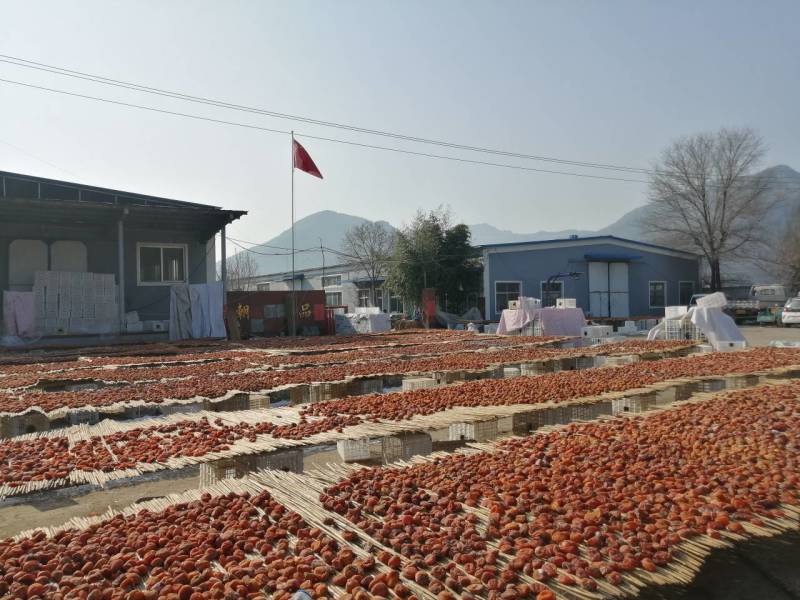 大量供应出口级青州精品红饼，霜饼，对接各大市场、平台电商