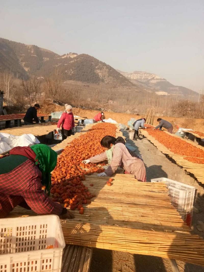 大量供应出口级青州精品红饼，霜饼，对接各大市场、平台电商