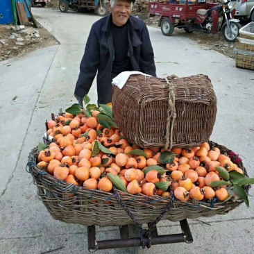 大量供应出口级青州精品红饼，霜饼，对接各大市场、平台电商
