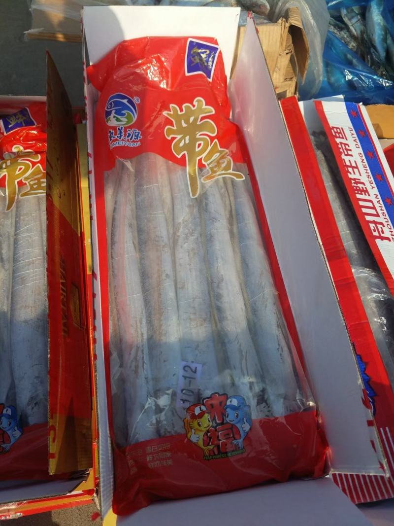 舟山带鱼一手货源大量批发