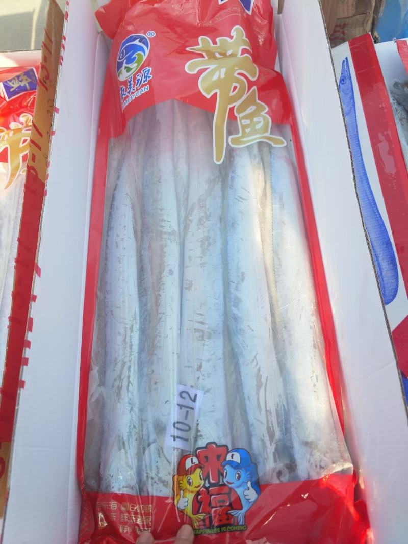 舟山带鱼一手货源大量批发