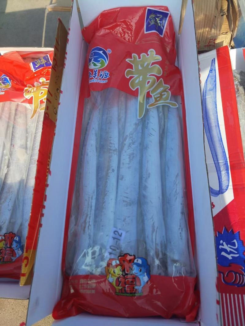 舟山带鱼一手货源大量批发
