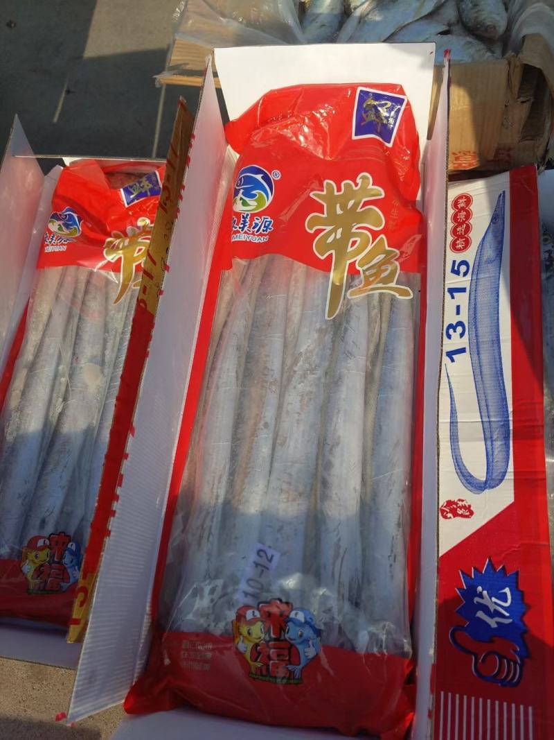舟山带鱼一手货源大量批发