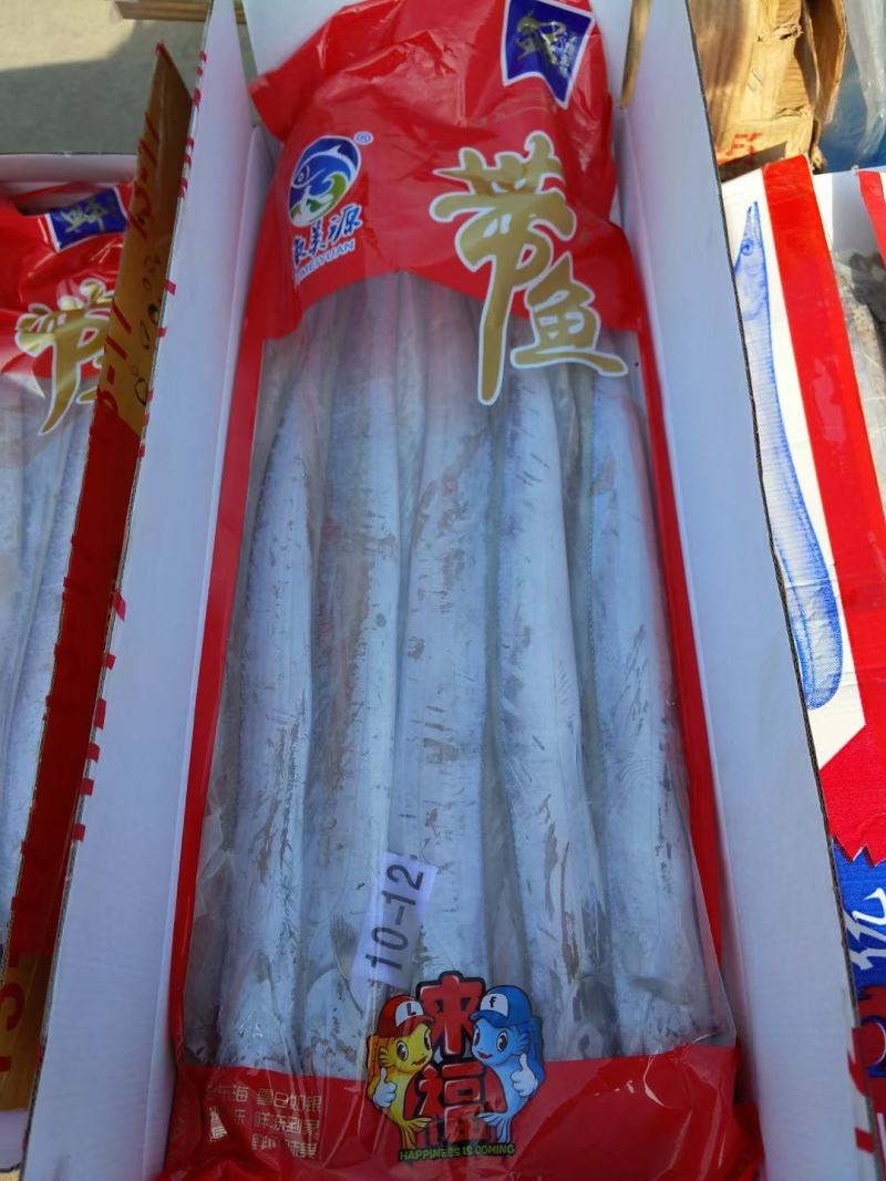 舟山带鱼一手货源大量批发