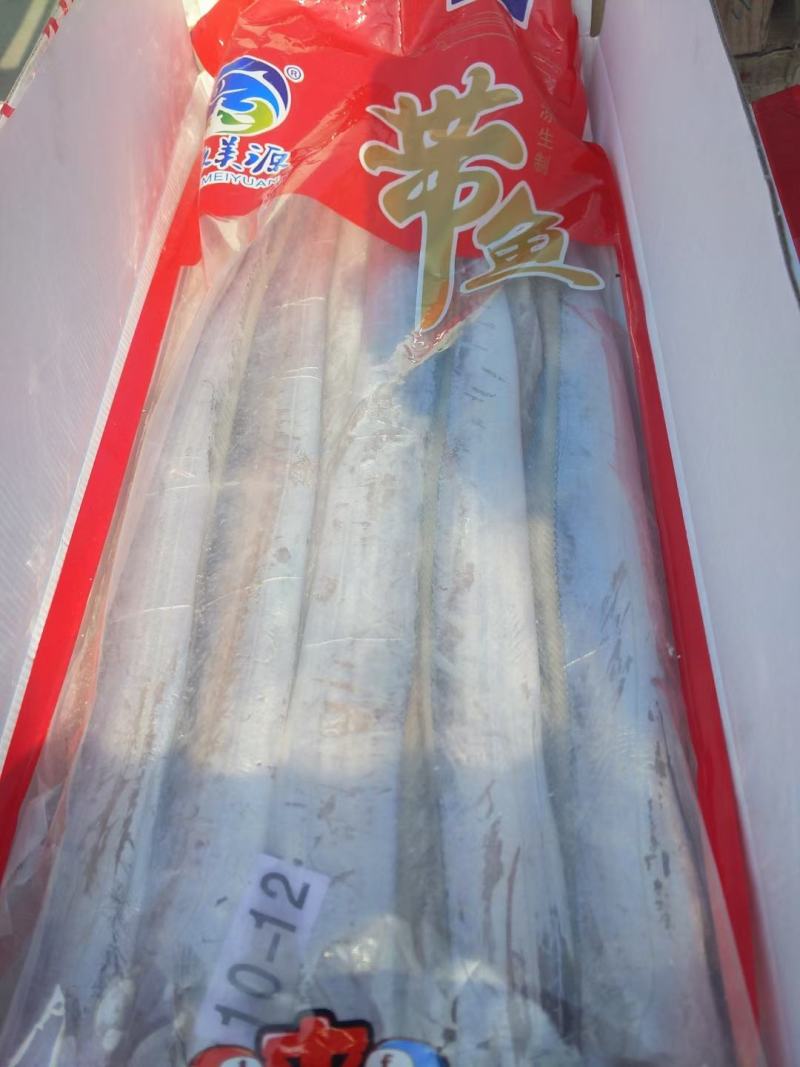 舟山带鱼一手货源大量批发