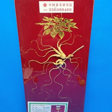 暴款《长白林下参》高年头老货含量更足送礼泡酒节日礼品