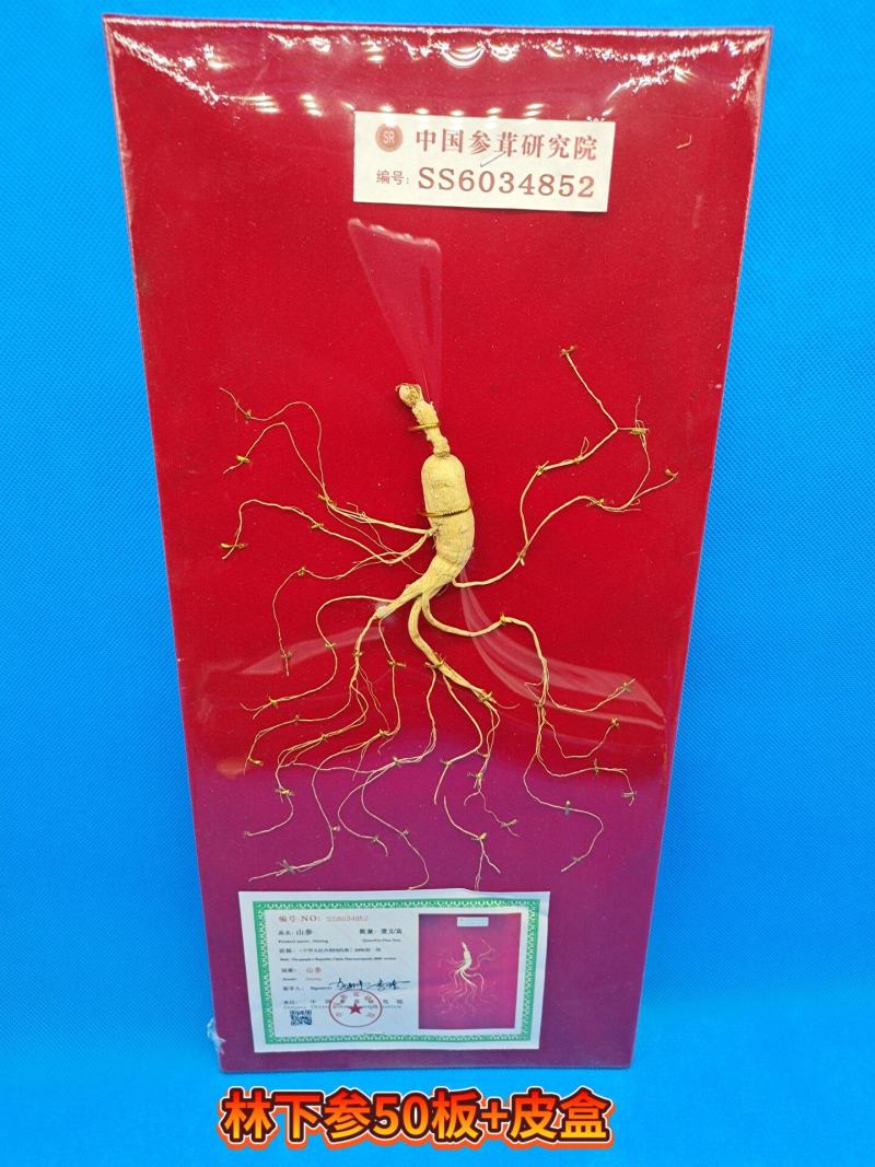 暴款《长白林下参》高年头老货含量更足送礼泡酒节日礼品