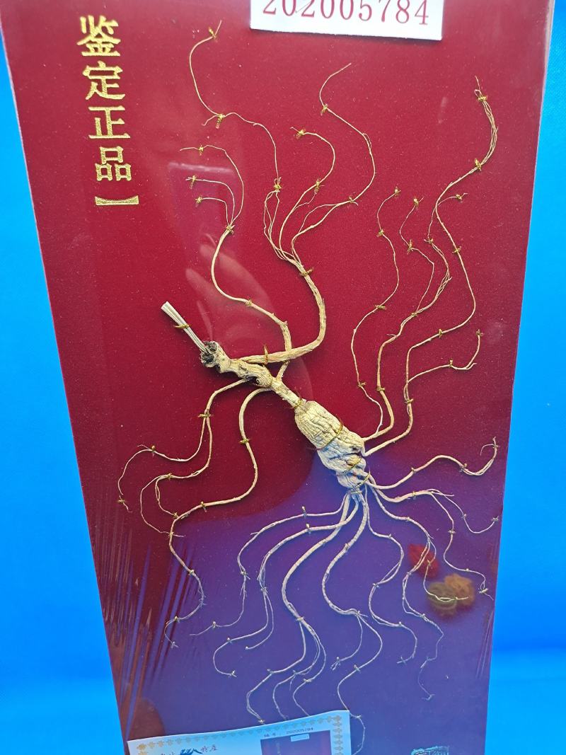 暴款《长白林下参》高年头老货含量更足送礼泡酒节日礼品