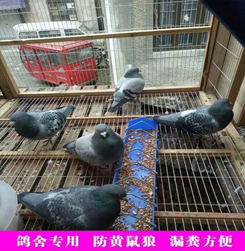 鸡鸽兔笼网片漏粪网围栏网隔离防护网脚踏网苗床网