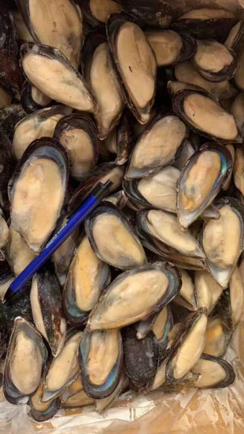 粉丝扇贝龙虾尾蓝口贝.....