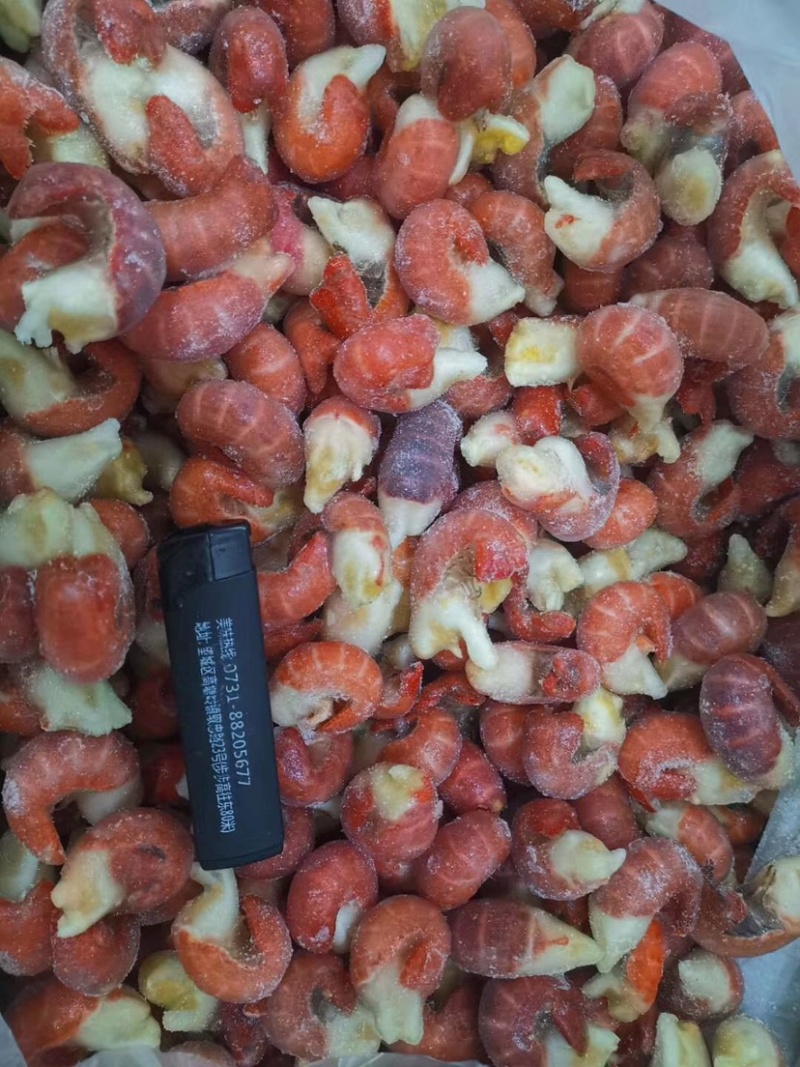 粉丝扇贝龙虾尾蓝口贝.....
