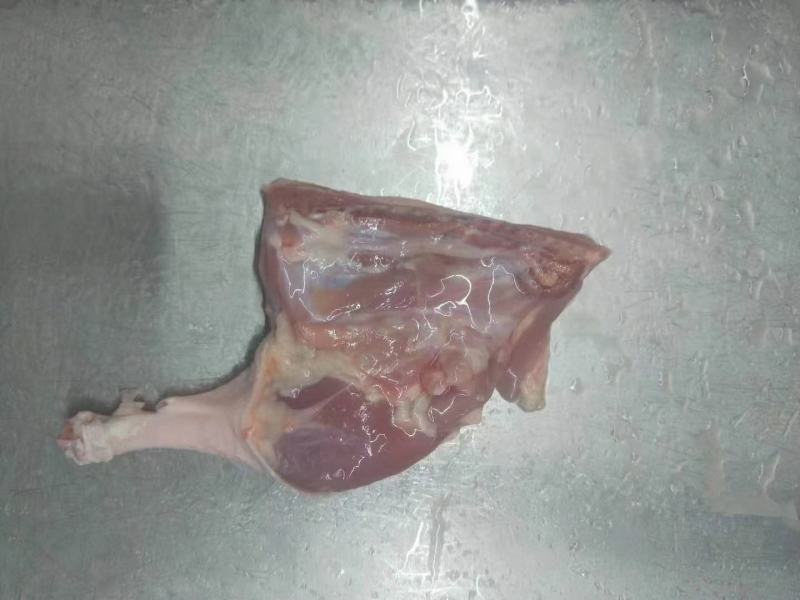 莱聚商贸生鲜冷冻鸭腿