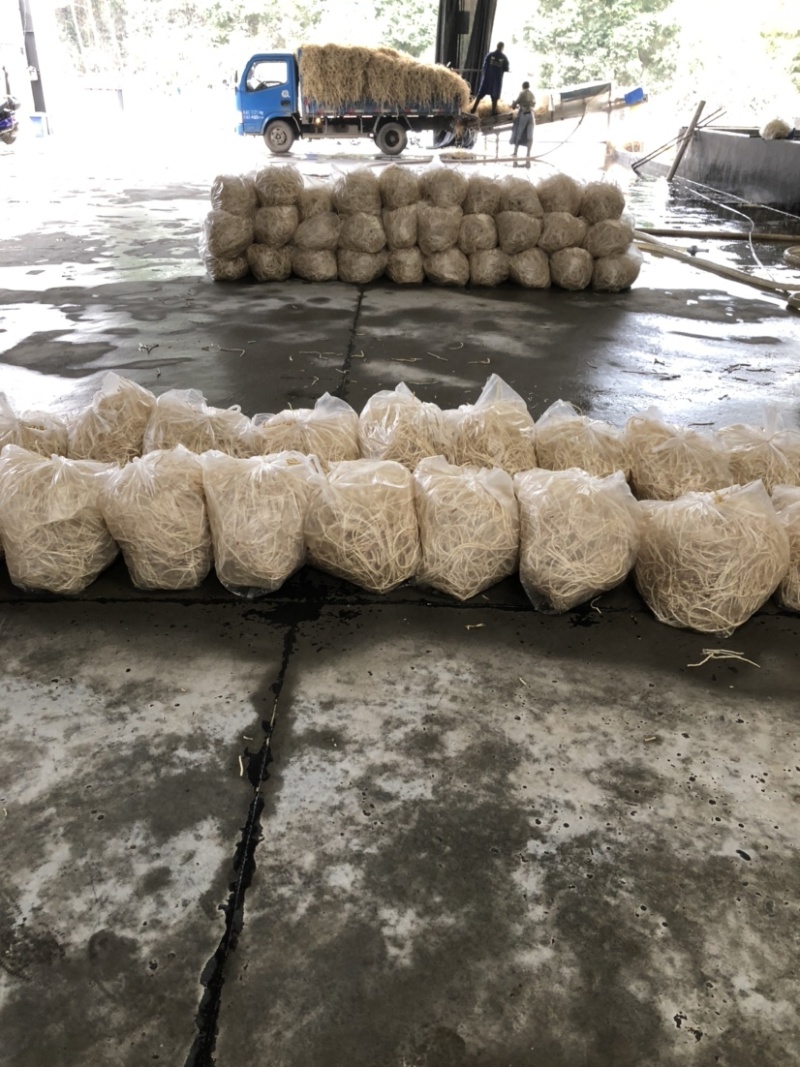 四川高山鱼腥草产地直发货源充足质量🈶️保障支持电商代发