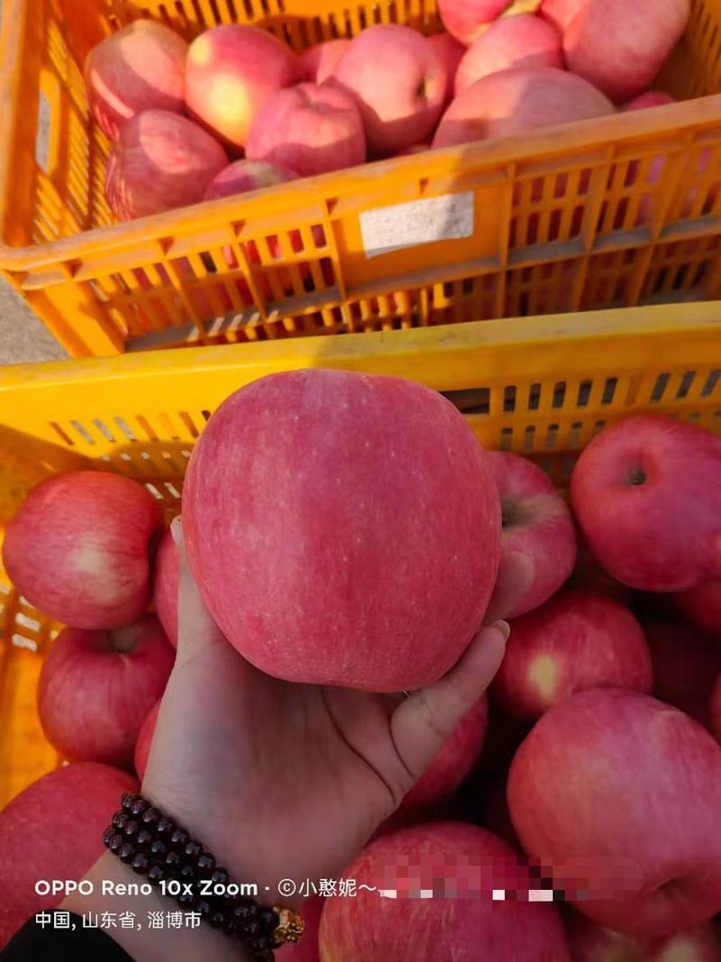 山东条纹苹果沂源冷库红富士苹果，片红，货源充足支持全国发