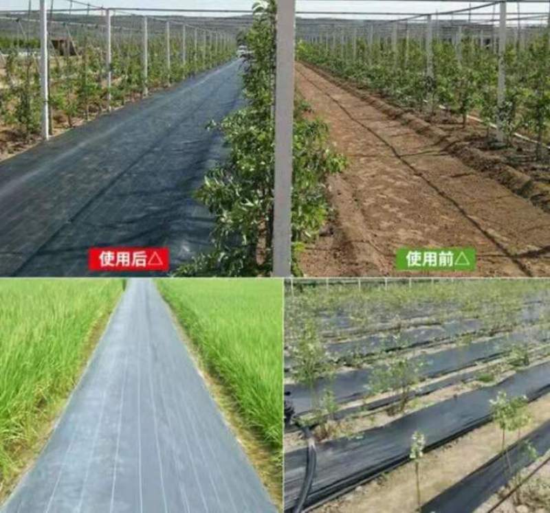 抗老化抗暴晒除草布耐用时间长草莓园田园果园耐用