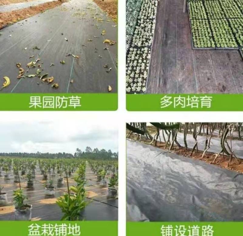 抗老化抗暴晒除草布耐用时间长草莓园田园果园耐用