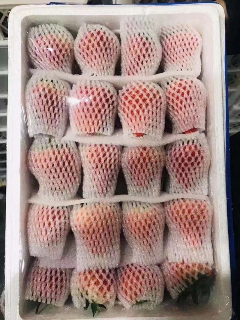 九九，十九，杠三，奶油草莓