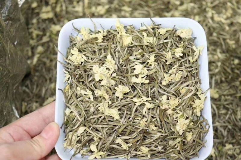 茉莉花茶茉莉针王兰妃花香浓郁全芽头支持线上保障交易