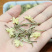 茉莉花茶茉莉针王兰妃花香浓郁全芽头支持线上保障交易