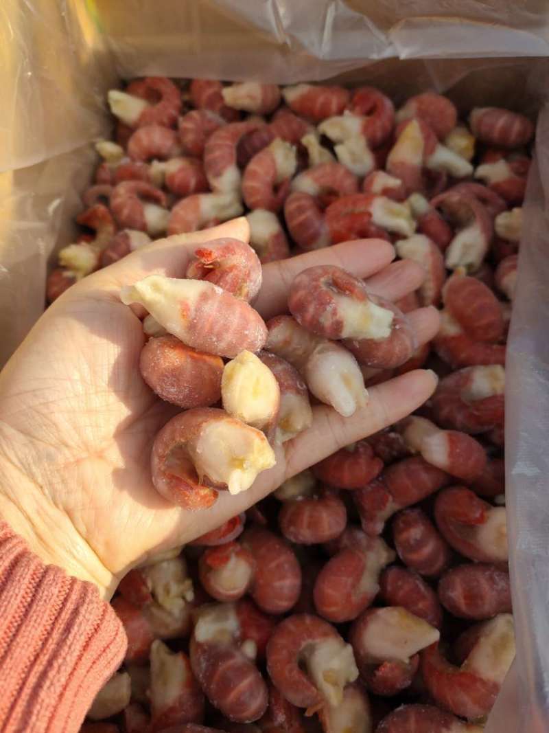 莱克虾统帅单冻龙虾尾，特级，一级，9斤化5斤，量大价格美
