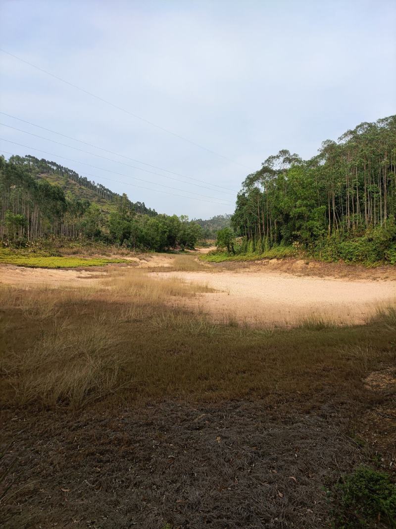 化州一山地出租，400亩，80元，可签30年